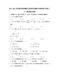 2022-2023学年陕西省安康市山阳县色河铺九年制学校七年级（下）期末数学试卷