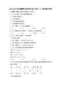 2023-2024学年新疆喀什地区莎车县八年级（上）期末数学试卷