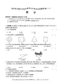 贵州省毕节市织金县部分学校2023-2024学年九年级下学期一模考试数学试题