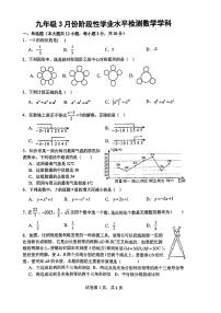 广西柳州市第十五中学2023—2024学年下学期九年级+3月阶段性检测数学试题