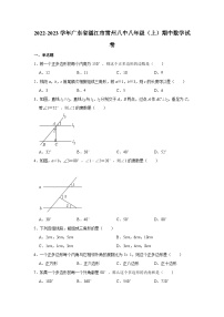 2022-2023学年广东省湛江市雷州八中八年级（上）期中数学试卷