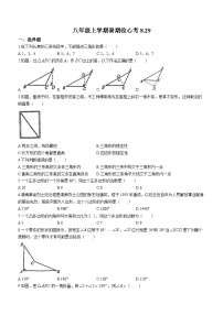 湖北省武汉市大方学校2023-2024学年八年级下学期开学考试数学试题