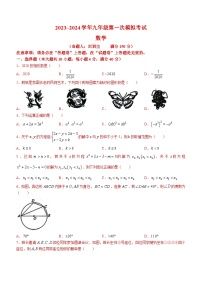 2024年安徽省芜湖市第二十九中学中考一模数学试题