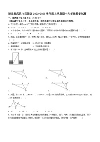 湖北省武汉市汉阳区2022-2023学年八年级上学期期中数学试题