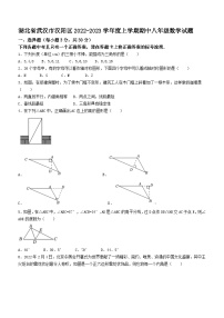 湖北省武汉市汉阳区2022-2023学年八年级上学期期中数学试题(含答案)