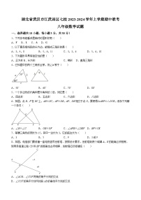 湖北省武汉市江武昌区七校2023-2024学年八年级上学期期中数学试题(含答案)