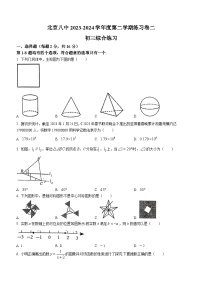 北京市第八中学2023-2024学年九年级下学期月考数学试题(无答案)