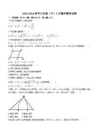 福建省龙岩市新罗区龙岩高级中学2023-2024学年八年级下学期月考数学试题(无答案)