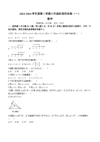 广东省揭阳市惠城中学2023-2024学年八年级下学期月考数学试题(无答案)