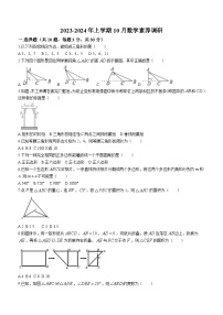 湖北省武汉市华宜寄宿学校2023-2024学年八年级上学期月考数学试题(无答案)