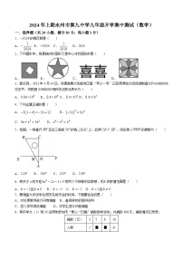 湖南省永州市第九中学2023-2024学年九年级下学期开学考试数学试题(无答案)