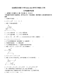 湖北省武汉市第六中学2022-2023学年七年级下学期月考数学试题(无答案)