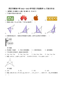 湖北省武汉市解放中学2022-2023学年八年级上学期月考数学试题(含答案)