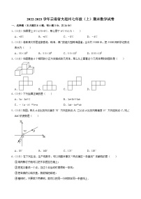 云南省大理州2022—2023学年上学期七年级期末数学试卷（含答案）