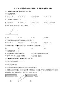 江苏省南京市玄武区科利华中学2023-2024学年七年级下学期3月月考数学模拟试题（无答案）