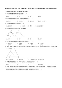 湖北省武汉市江武昌区七校2023-2024学年上学期期中联考八年级数学试题（含答案）
