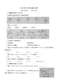 吉林省白城市大安市乐胜乡中学校2023-2024学年七年级下学期第一次月考数学试卷（含答案）