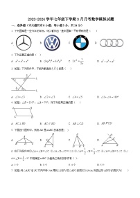 江苏省扬州市宝应县宝楠国际学校2023—2024学年七年级下学期3月月考数学模拟试题（无答案）