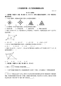 江苏省泰州市泰州中学附属初级中学2023-2024学年八年级下学期第一次月考模拟数学试题（含答案）