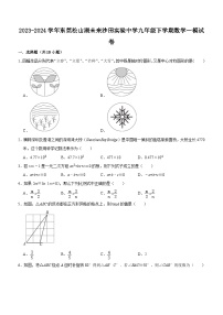 广东省东莞沙田实验中学2023—2024学年下学期九年级中考数学一模试卷（含答案）