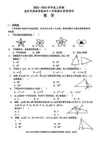 湖北省武汉市武汉外国语学校2022-2023学年度上学期期中八年级数学试题