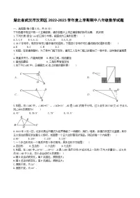 湖北省武汉汉阳区2022-2023学年度上学期期中八年级数学试题