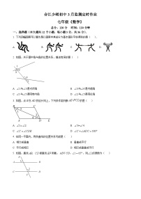 四川省泸州市合江县合江少岷初中2023-2024学年七年级下学期3月月考数学试题（原卷版+解析版）