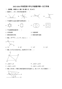 湖北省武汉市黄陂区祁家湾街道四黄中学2023-2024学年七年级下学期月考数学试题（原卷版+解析版）