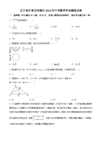 2024年辽宁省丹东市凤城市中考数学毕业模拟预测题（原卷版+解析版）