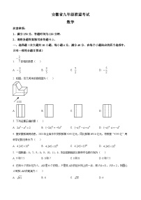 2024年安徽省六安市金寨县中考一模数学试题（原卷版+解析版）