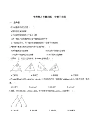 中考数学全等三角形专项训练及答案