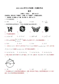 2024年安徽省芜湖市第二十九中学中考一模数学试题