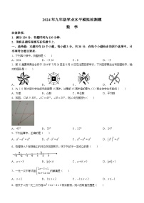 2024年广东省湛江市廉江市中考一模数学试题