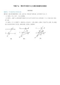 浙教版七年级数学下册期末专项复习之大题压轴重难点题型