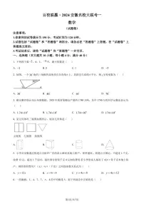 2024年安徽百校联赢中考一模数学试题+答案