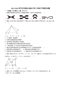 江苏省苏州市苏州高新区实验初级中学2023-2024学年八年级下学期3月月考数学试题