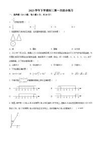 广东省广州市番禺区广东仲元中学附属学校2023-2024学年九年级下学期月考数学试题（原卷版+解析版）