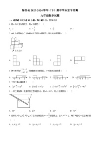 湖北省十堰市郧西县2023-2024学年九年级下学期期中数学试题（原卷版+解析版）