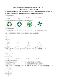 江苏省盐城市毓龙路实验学校2023-2024学年九年级下学期3月月考数学试题(无答案)