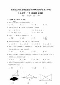 湖南省长沙市湖南师大附中星城实验中学2023-2024学年八年级下学期第一次月考数学试题