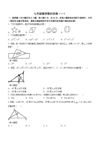 江苏省徐州市鼓楼区徐州市树人初级中学2023-2024学年七年级下学期3月月考数学试题(无答案)