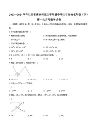 2023-2024学年江苏省南京师范大学附属中学江宁分校七年级（下）第一次月考数学试卷（含解析）