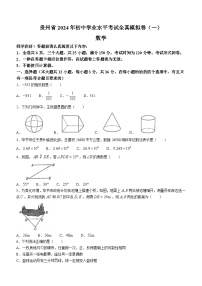 2024学年贵州省毕节市织金县部分学校九年级下学期一模考试数学试题(无答案)