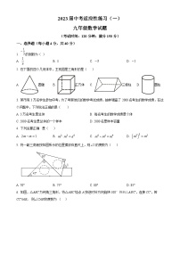 2023年福建省龙岩市长汀县中考一模数学试卷（附解析版）