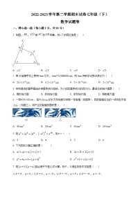 浙江省金华市东阳市七年级2022-2023学年下学期期末数学试题