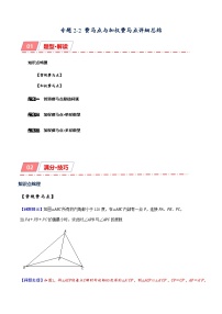 专题2-2 费马点与加权费马点详细总结 备考2024年中考数学—模型·方法·技巧专题突破（全国通用）