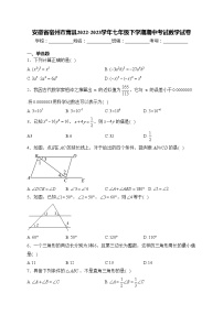 安徽省宿州市萧县2022-2023学年七年级下学期期中考试数学试卷(含答案)