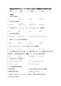 海南省华侨中学2023-2024学年八年级上学期期中考试数学试卷(含答案)