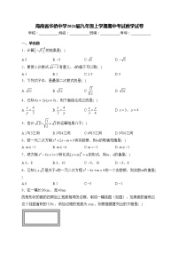 海南省华侨中学2024届九年级上学期期中考试数学试卷(含答案)