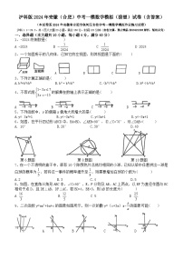 +2024年安徽（合肥）中考一模数学模拟（猜想）试卷+（+沪科版）